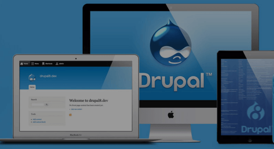 Drupal Development
